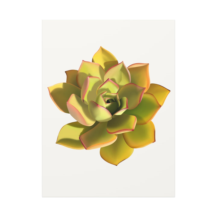 Noble Aeonium Succulent Canvas Wall Art Print for Modern Home Decor by The Potted Pixel