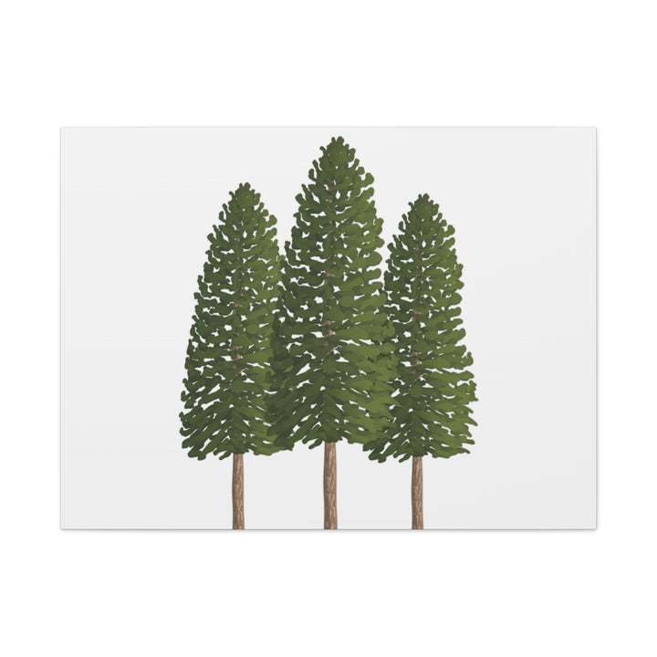 Three Ponderosa Pine Canvas Wall Art Matte Stretched Print Minimalist Forest Landscape Decor