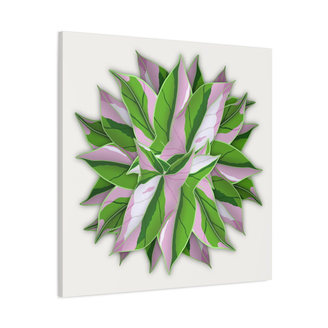 Syngonium Tricolor Canvas Print – Botanical Wall Art - The Potted Pixel