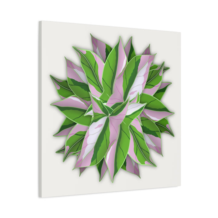 Syngonium Tricolor Canvas Print – Botanical Wall Art - The Potted Pixel