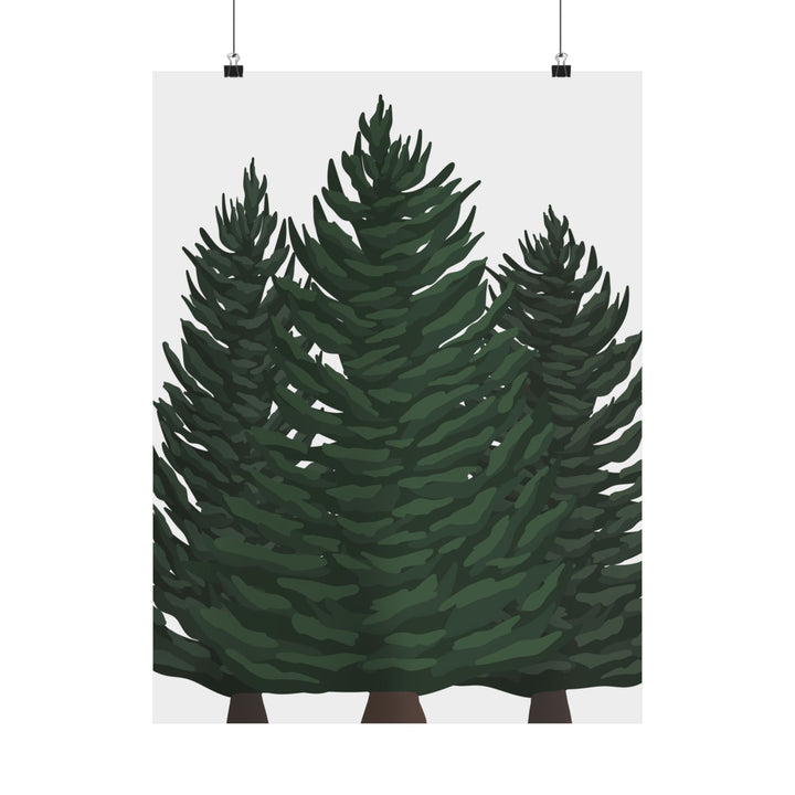 Douglas Fir Print – Unframed Wall Art