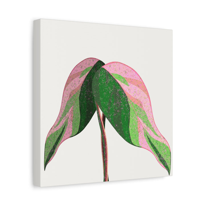 Pink Princess Philodendron Canvas Print Botanical Wall Art For Indoor Decor Modern Living Room Poster
