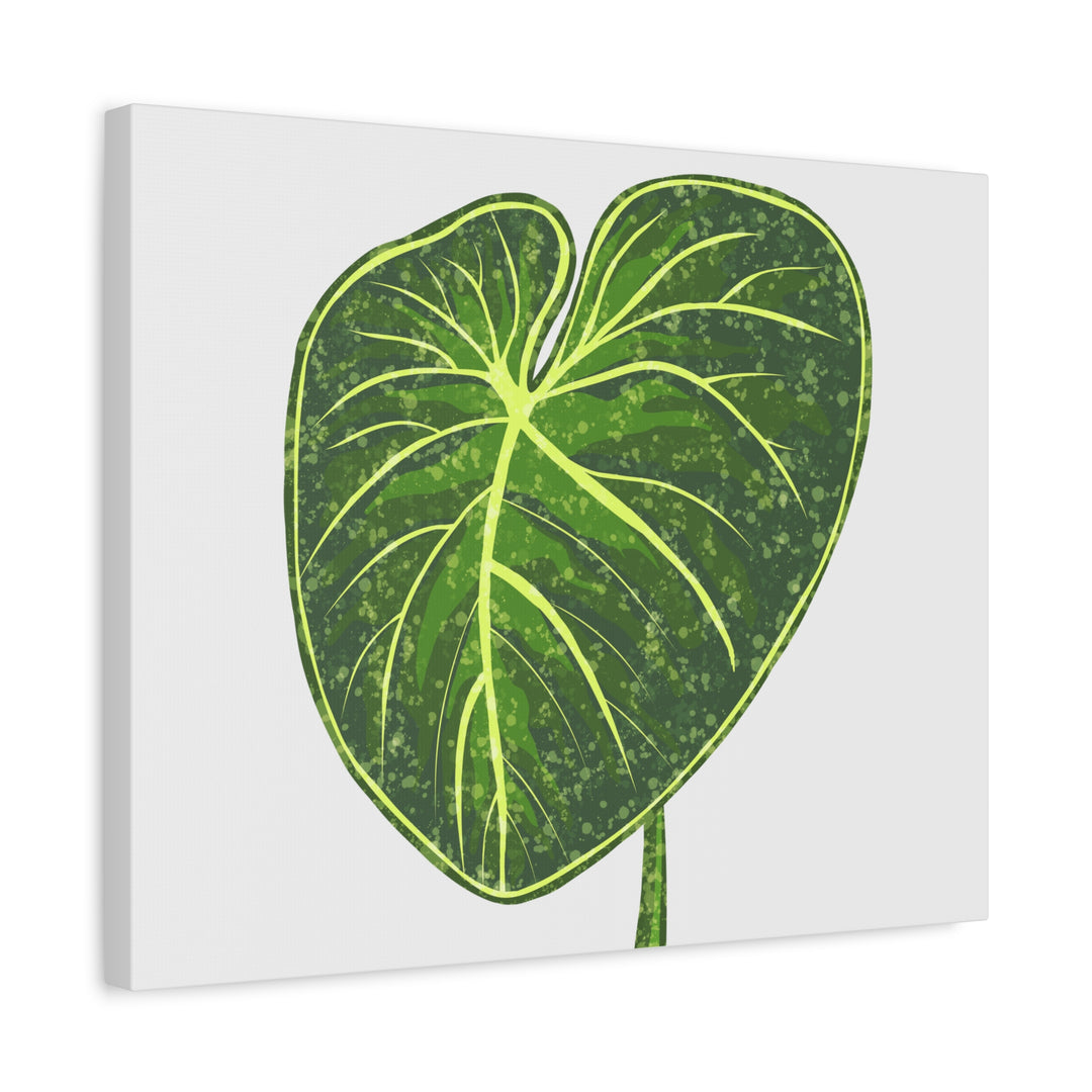 Philodendron Gloriosum Canvas Print Stretched Wall Art Botanical Leaf Print Matte Finish Gallery Wrapped Canvas