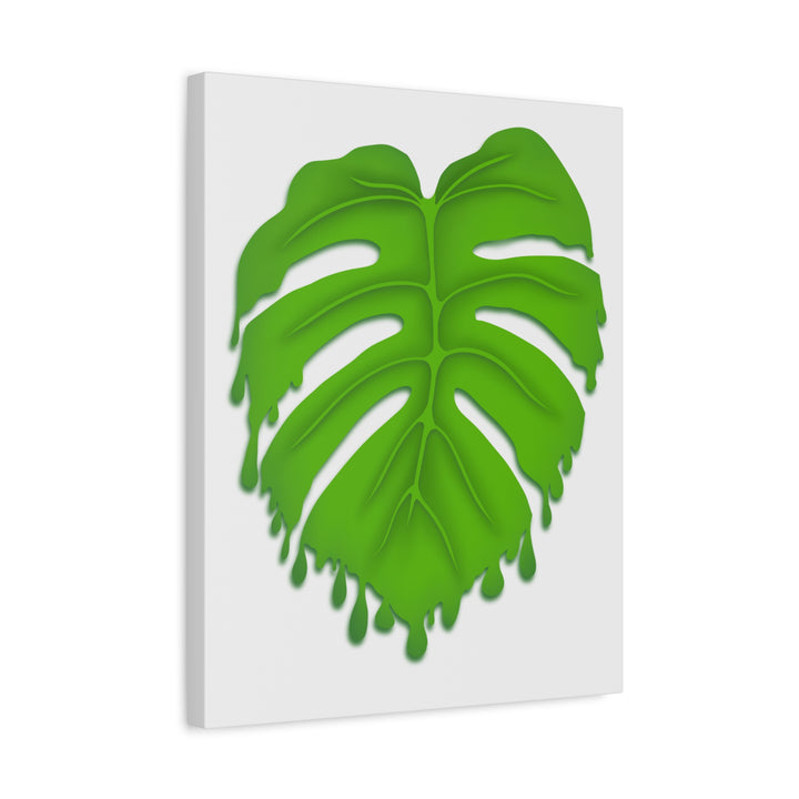 Melting Monstera Canvas Wall Art Large Botanical Print On Premium Cotton With Matte Finish For Indoor Decor
