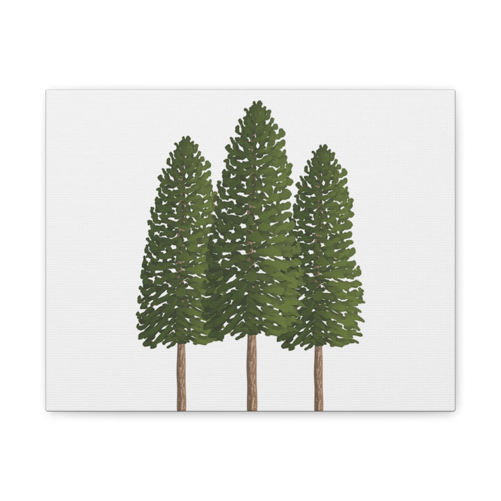 Three Ponderosa Pine Canvas Wall Art Matte Stretched Print Minimalist Forest Landscape Decor
