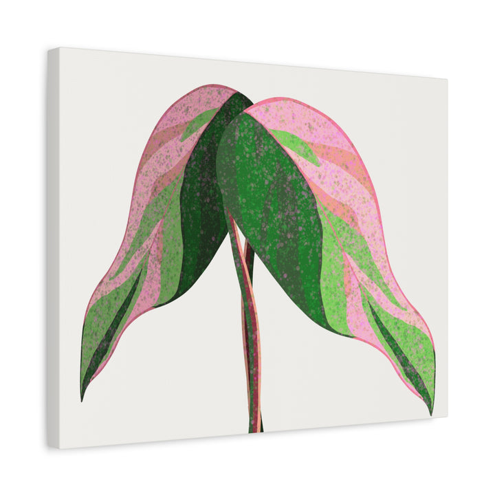 Pink Princess Philodendron Canvas Print Botanical Wall Art For Indoor Decor Modern Living Room Poster