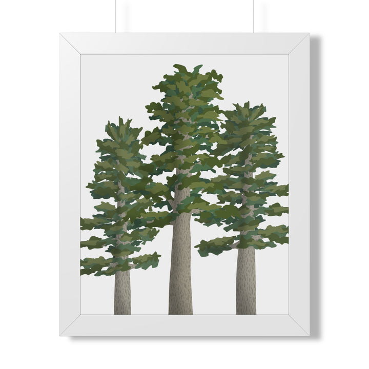 Sitka Spruce Framed Print – Wall Art