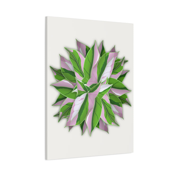 Syngonium Tricolor Canvas Print – Botanical Wall Art - The Potted Pixel