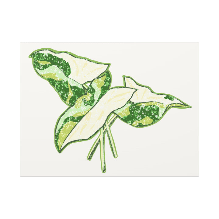 Marble Syngonium Canvas Botanical Wall Art Stretched Print On Durable Cotton Canvas Matte Finish