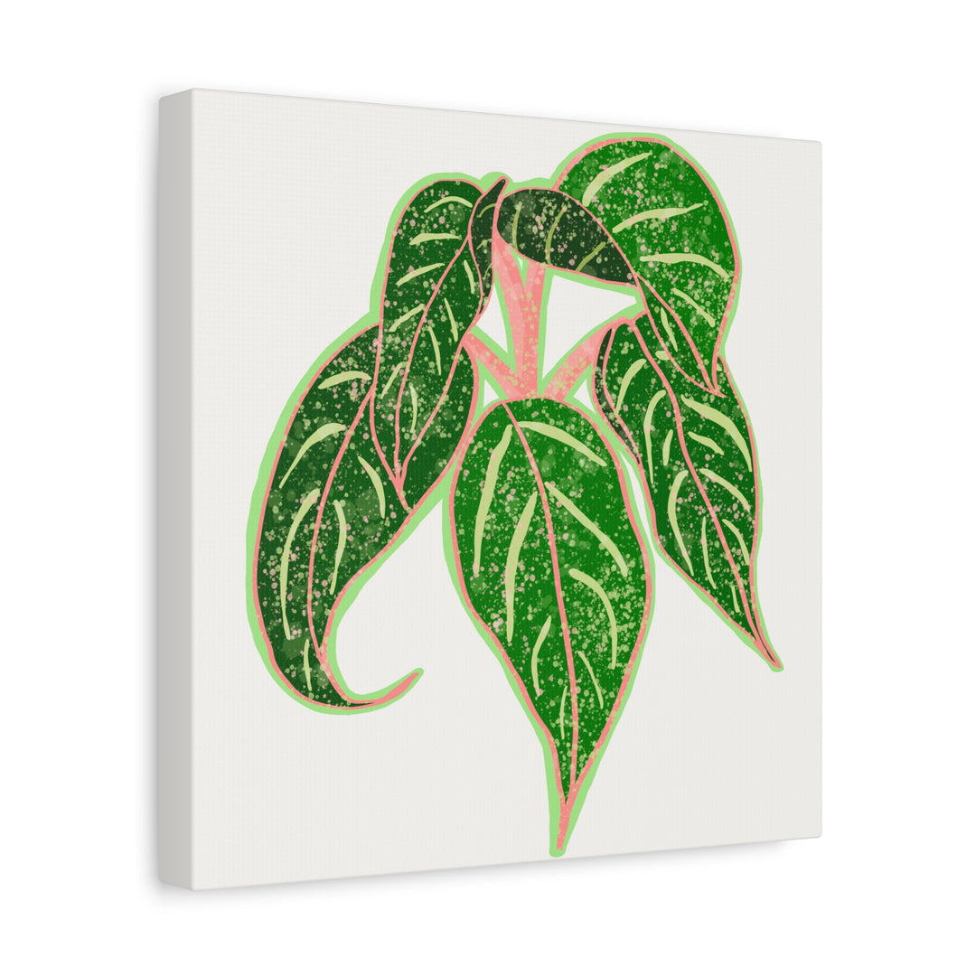 Aglaonema Sparkling Sarah Botanical Canvas Print On Matte Stretch Canvas For Modern Living Room Decor