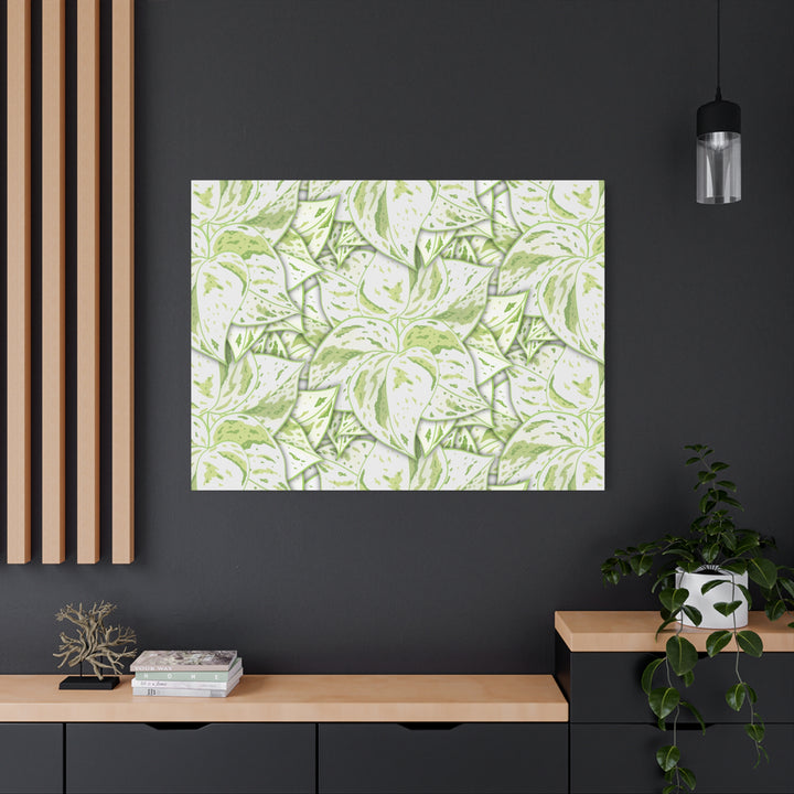 Snow Queen Pothos Canvas Print With Variegated White Leaves In Matte Finish For Modern Home Decor