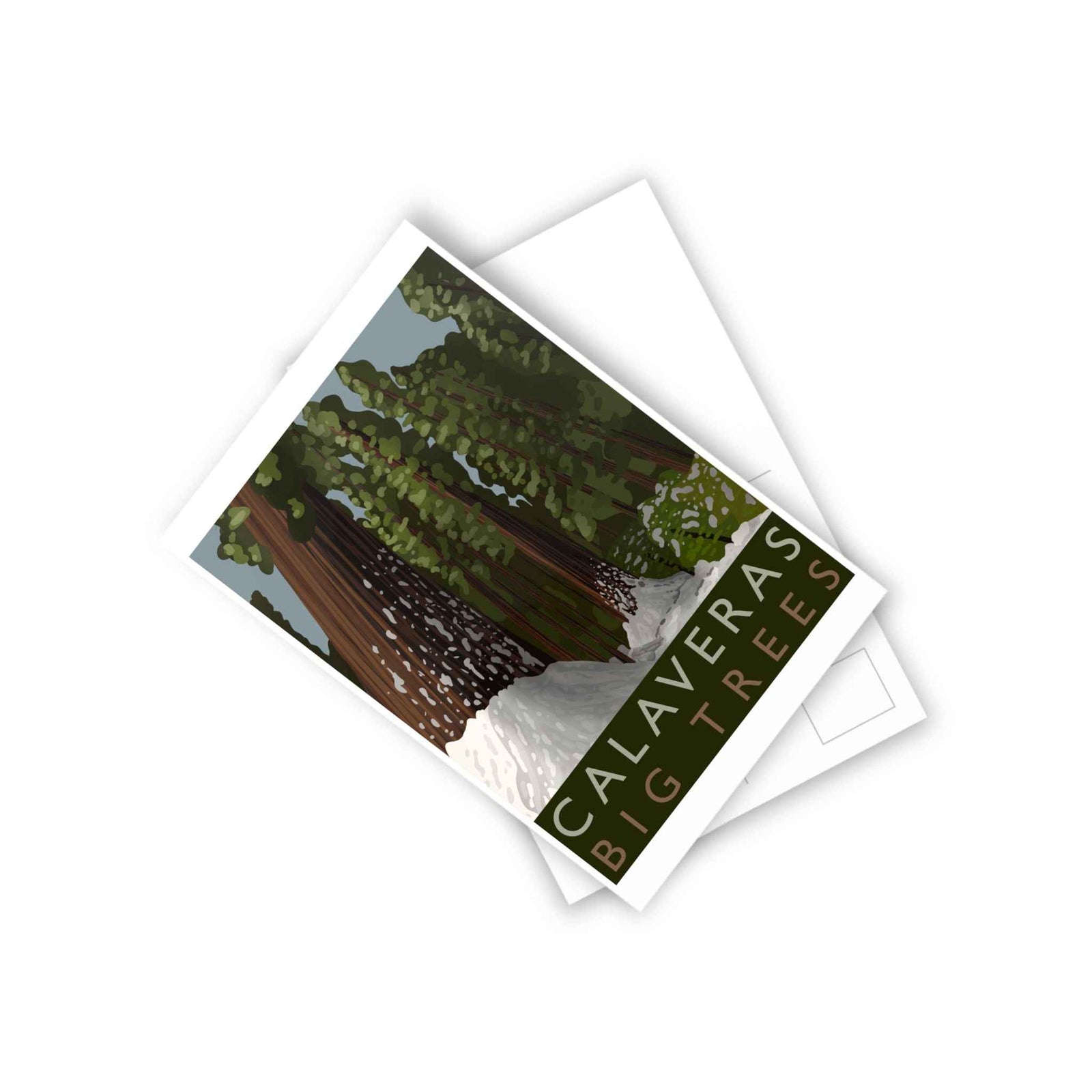 Calaveras Big Trees Minimalist Postcard, 10-pack