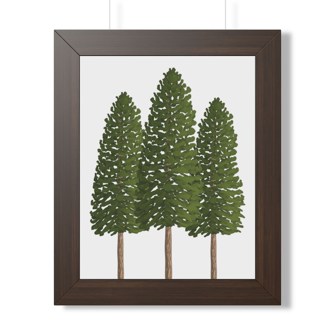 Ponderosa Pine Framed Print – Wall Art