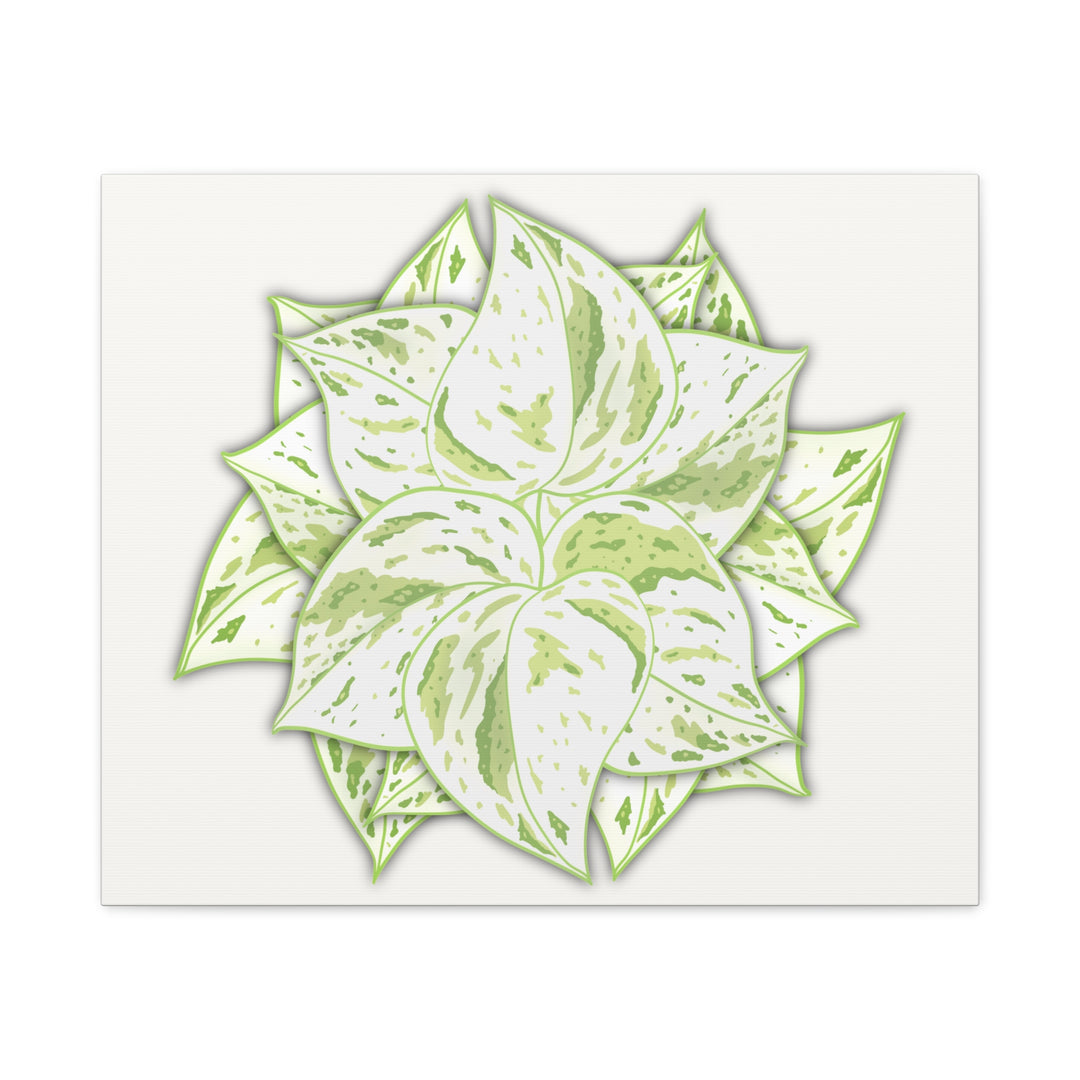 Snow Queen Pothos Canvas Wall Art Variegated Indoor Plant Leaf Poster Print Cotton Canvas