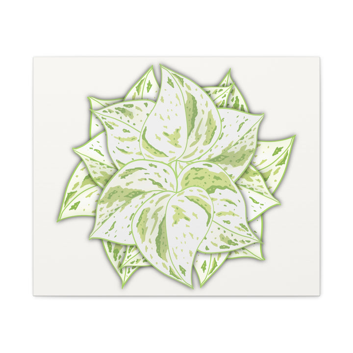 Snow Queen Pothos Canvas Wall Art Variegated Indoor Plant Leaf Poster Print Cotton Canvas