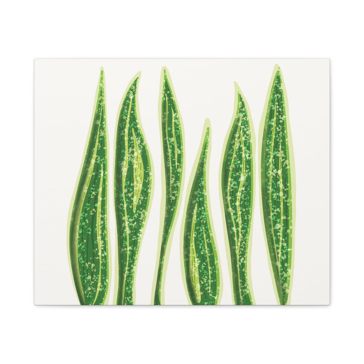 Snake Plant Canvas Print Matte 1.25 Inch Stretch Canvas Wall Art For Living Room Decor