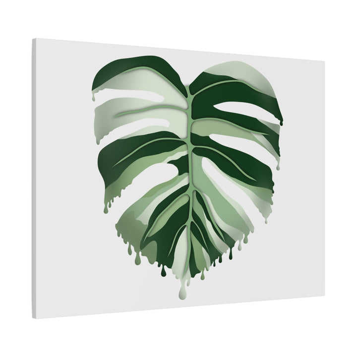 Melting Monstera Albo Canvas Large Indoor Wall Art Print Matte Finish Tropical Home Decor
