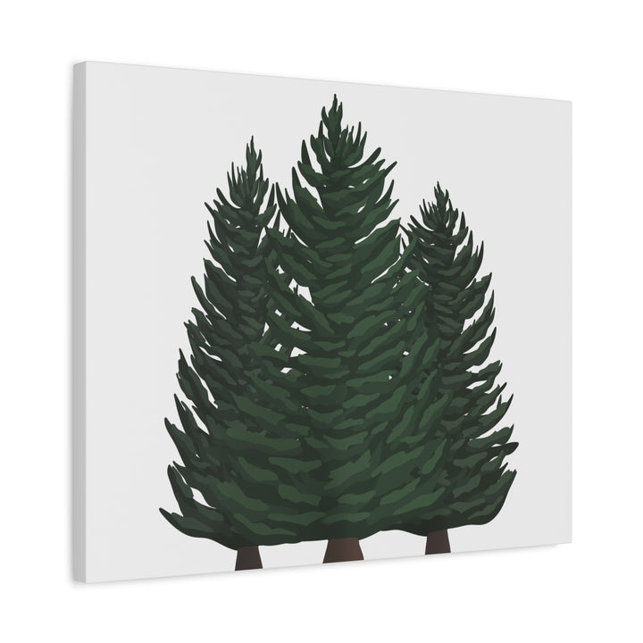 Douglas Fir Canvas Print – Wall Art