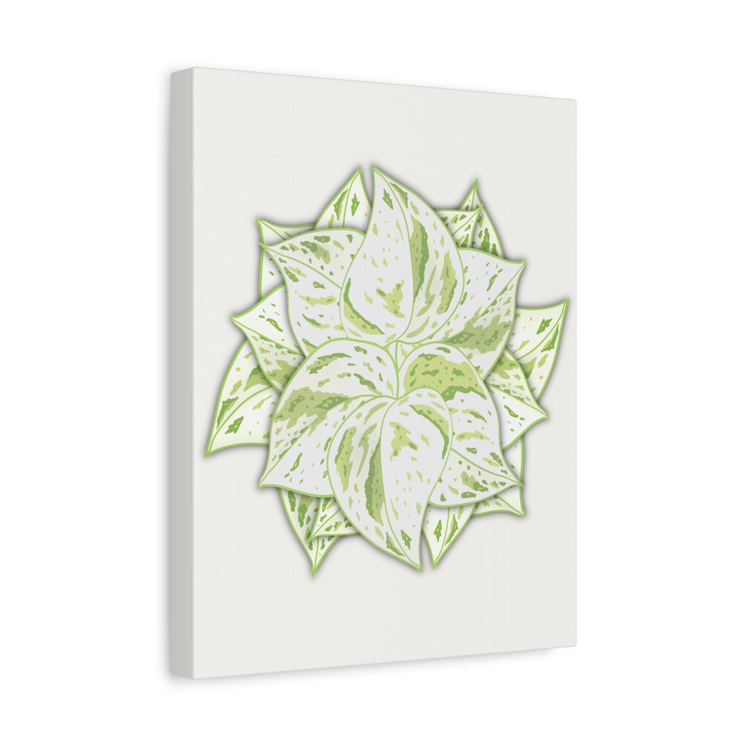 Snow Queen Pothos Canvas Wall Art Variegated Indoor Plant Leaf Poster Print Cotton Canvas