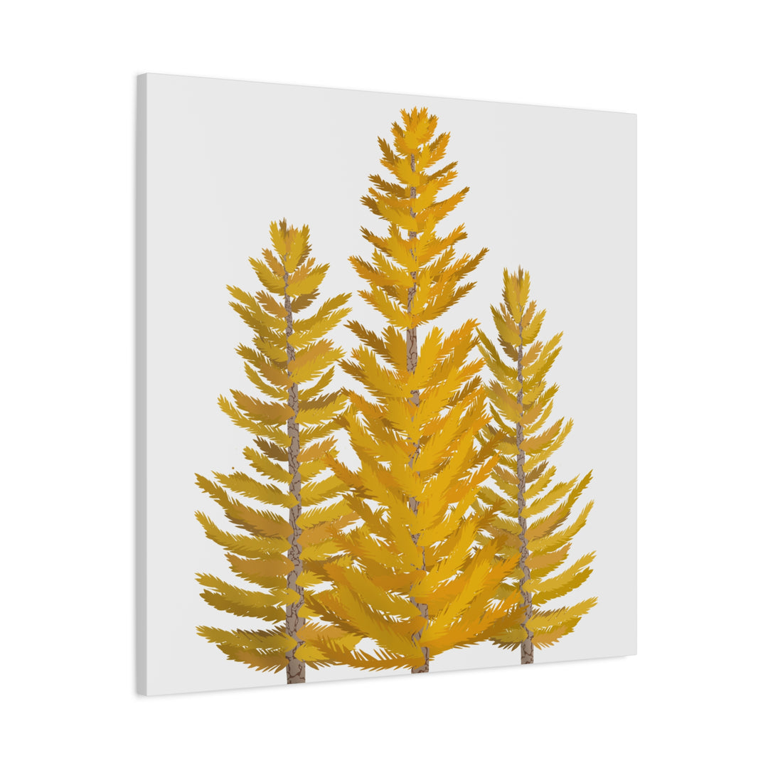 Western Larch Canvas Print – Wall Art