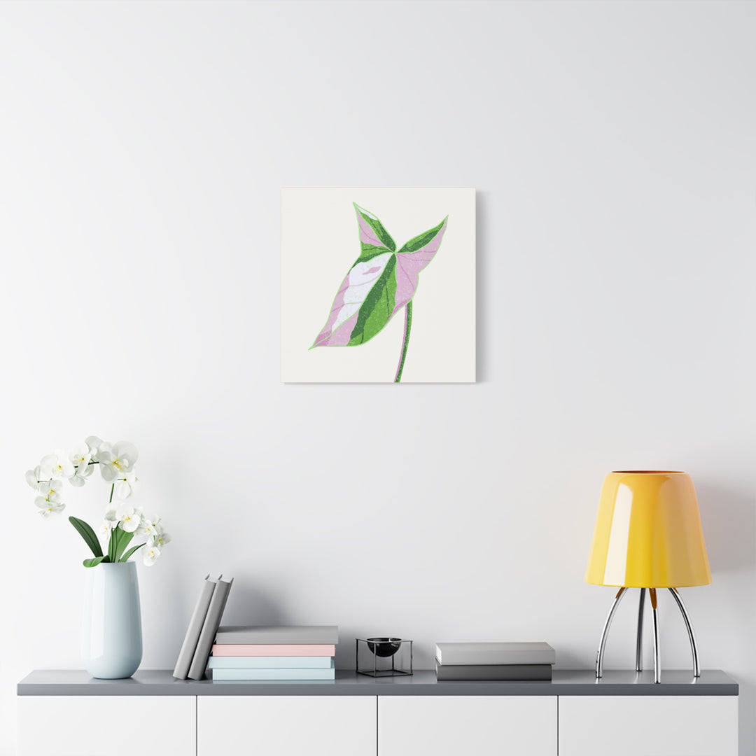 Syngonium Tricolor Canvas Print – Botanical Wall Art - The Potted Pixel