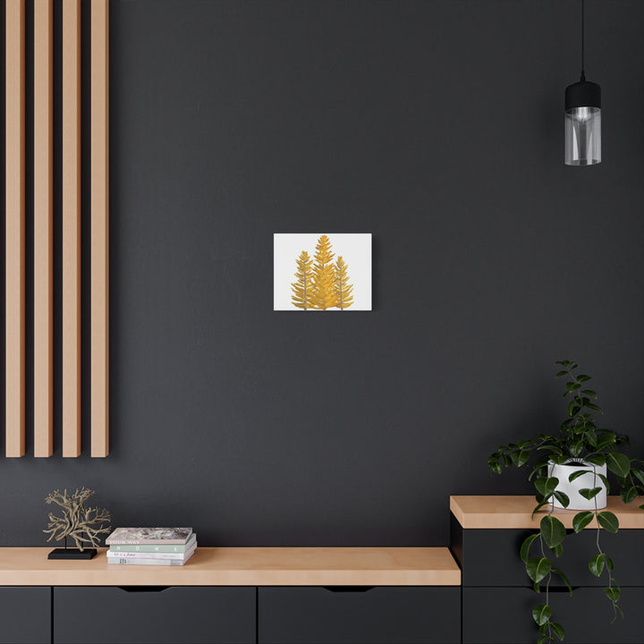Western Larch Canvas Print – Wall Art