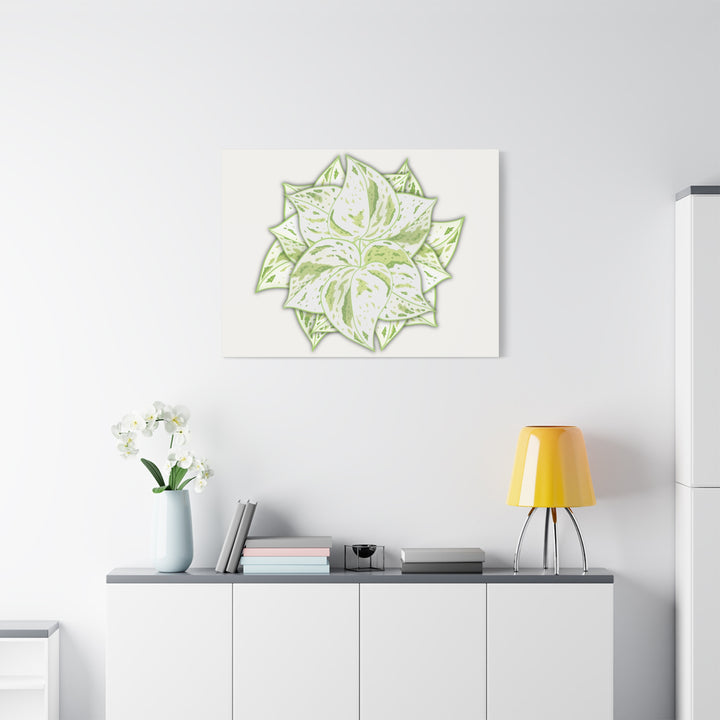 Snow Queen Pothos Canvas Wall Art Variegated Indoor Plant Leaf Poster Print Cotton Canvas