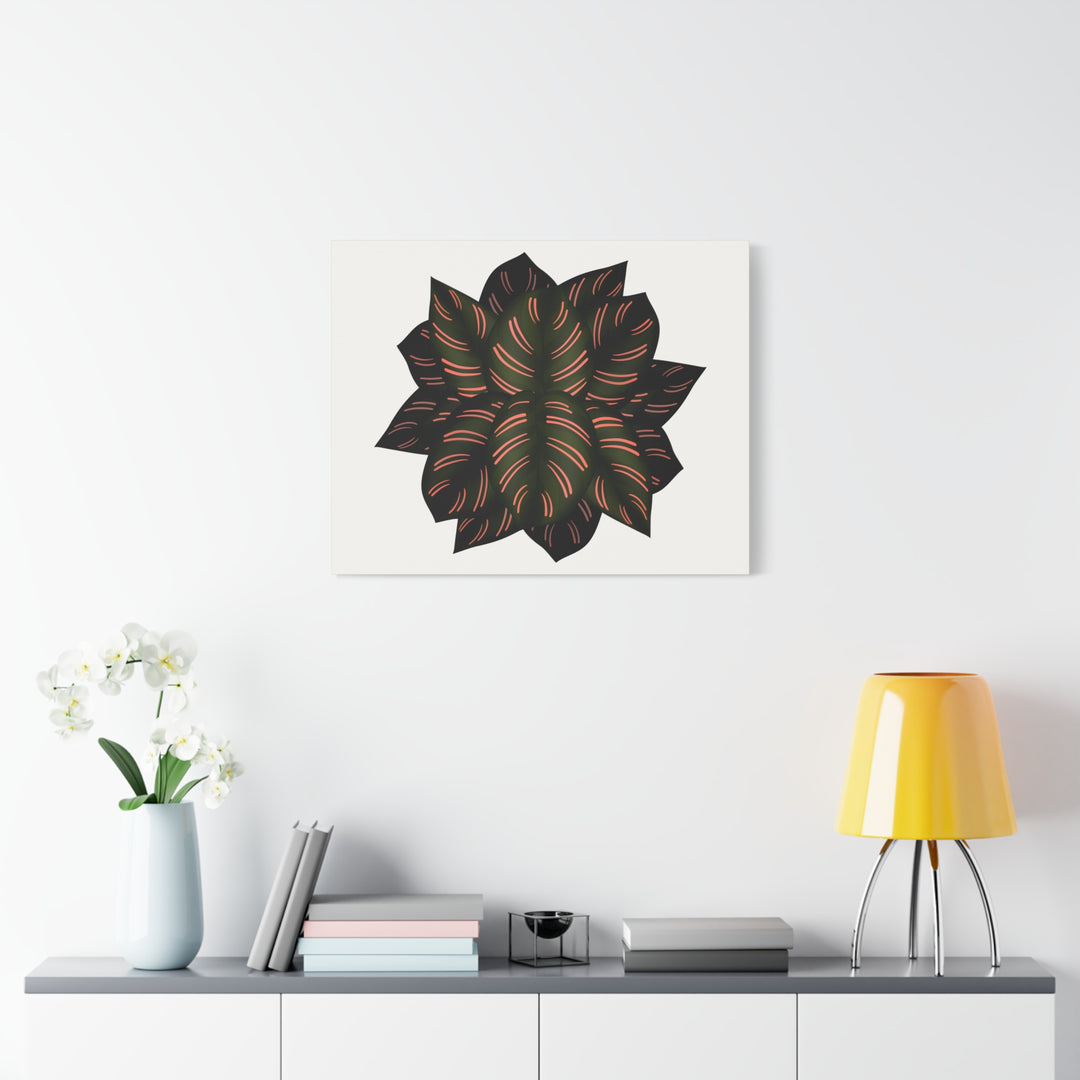 Calathea Pinstripe Canvas Botanical Wall Art Print On Stretched Cotton Canvas For Living Room Decor