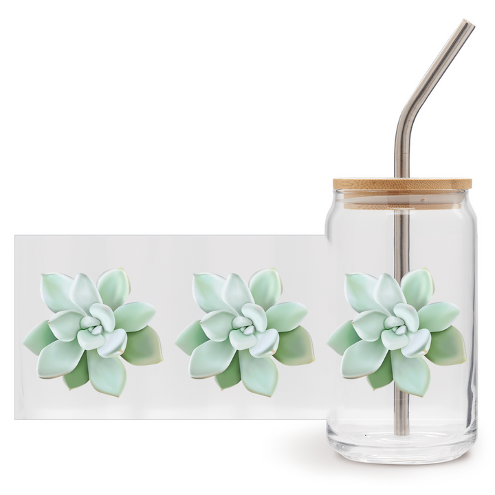 Pachyveria Haagei Succulent Soda Can Glass – 16 oz Tumbler With Bamboo Lid And Straw