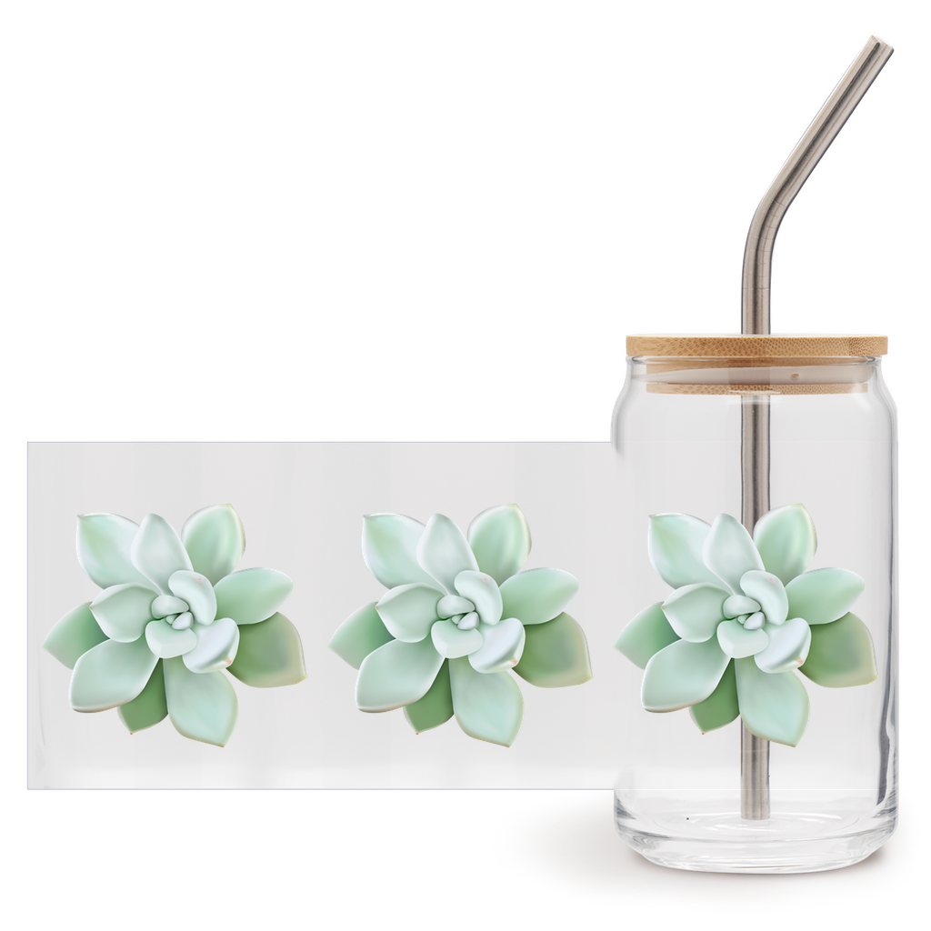 Pachyveria Haagei Succulent Soda Can Glass – 16 oz Tumbler With Bamboo Lid And Straw