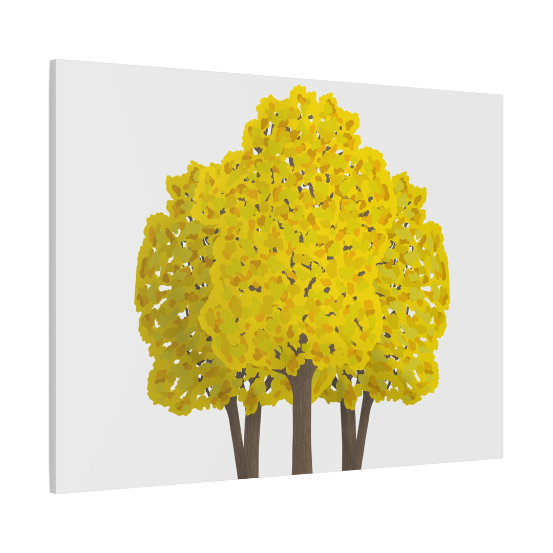 Big Leaf Maple Canvas Print – Wall Art