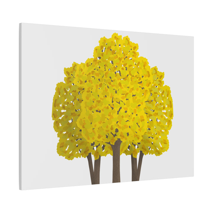 Big Leaf Maple Canvas Print – Wall Art