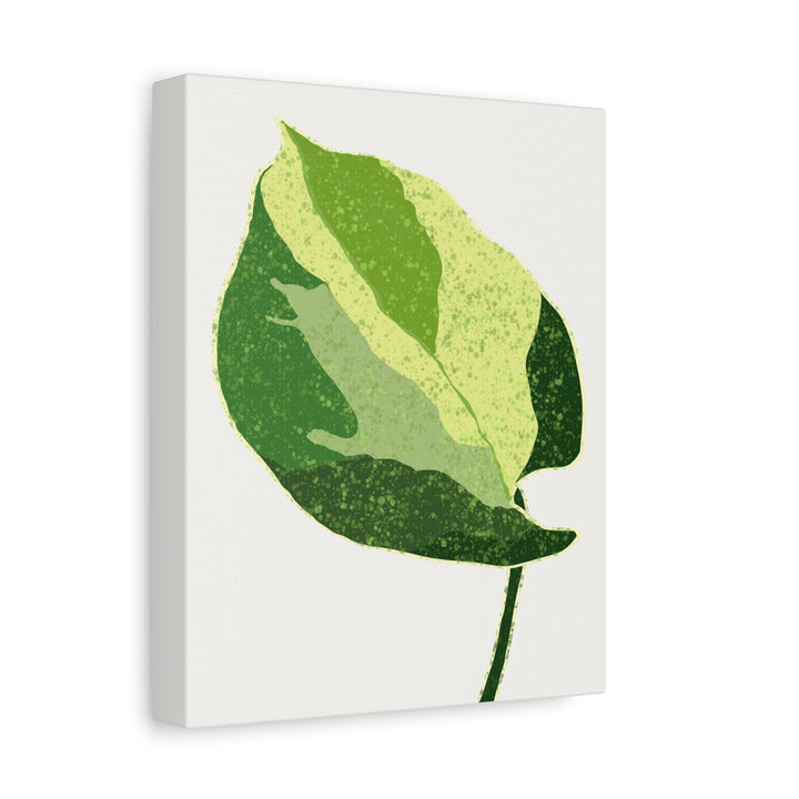 Manjula Pothos Botanical Canvas Print Matte Finish Stretched Canvas Wall Art 1.25 Inch Depth