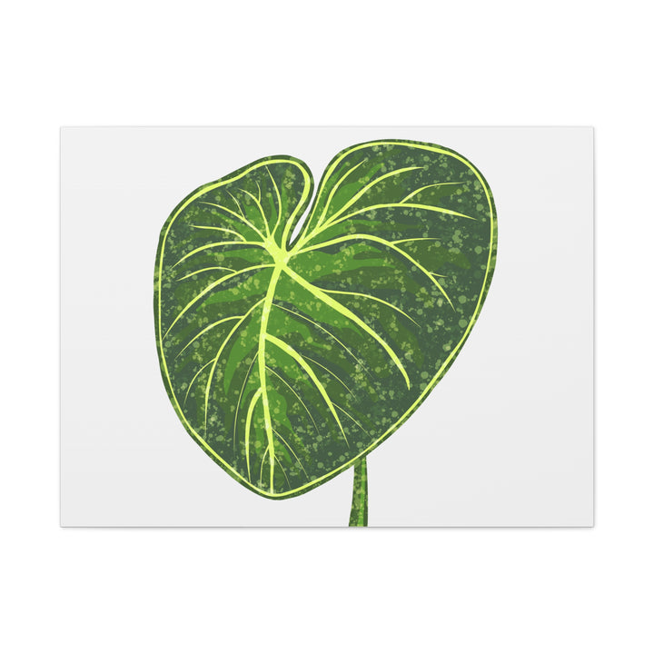 Philodendron Gloriosum Canvas Print Stretched Wall Art Botanical Leaf Print Matte Finish Gallery Wrapped Canvas
