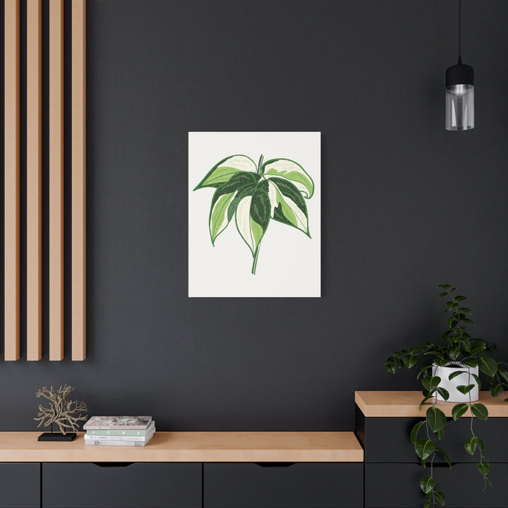 Philodendron Canvas Print Cream Splash Variegated Plant Art On Matte Cotton Canvas For Home Wall Decor