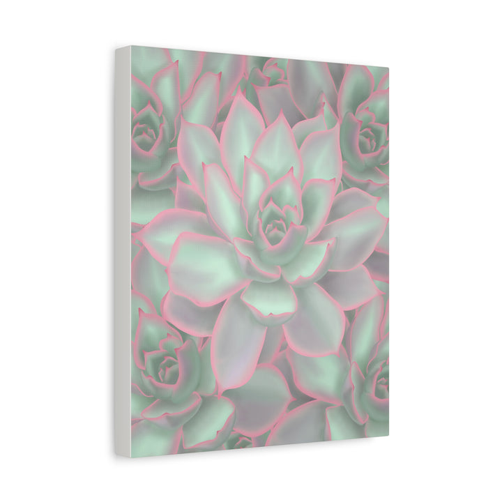 Echeveria Violet Queen Canvas Wall Art Succulent Print Matte Botanical Decor For Indoor Spaces