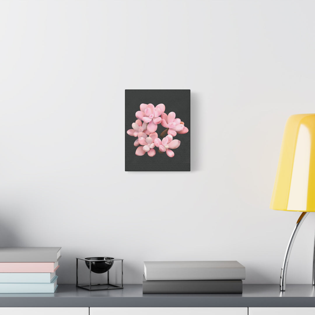 Pink Moonstone Canvas Print – Botanical Wall Art