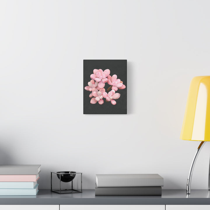 Pink Moonstone Canvas Print – Botanical Wall Art