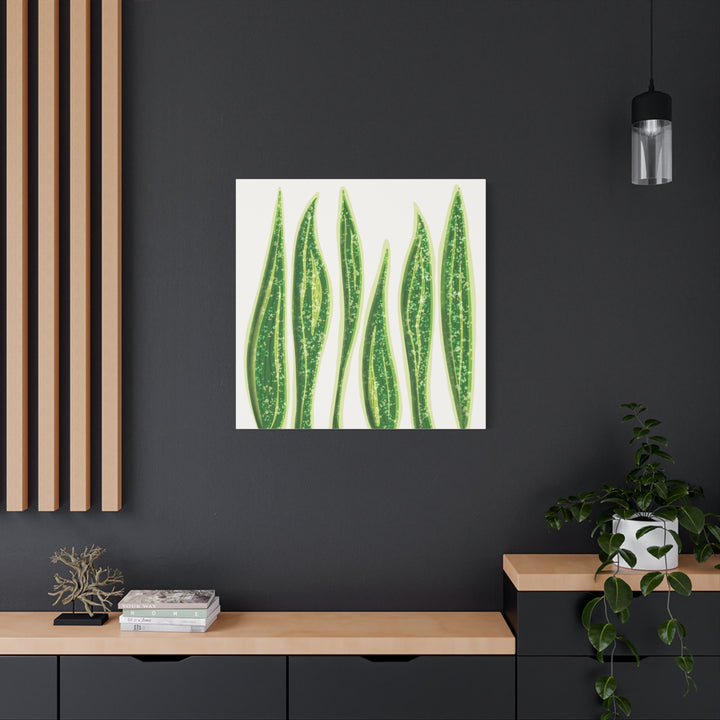Snake Plant Canvas Print Matte 1.25 Inch Stretch Canvas Wall Art For Living Room Decor