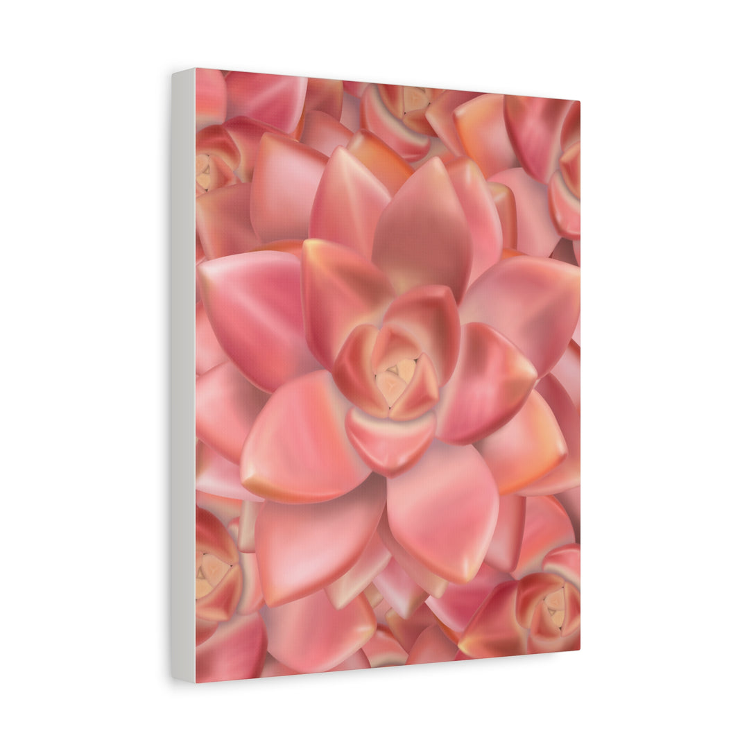 Graptosedum California Sunset Succulent Canvas Print – Botanical Wall Art - The Potted Pixel