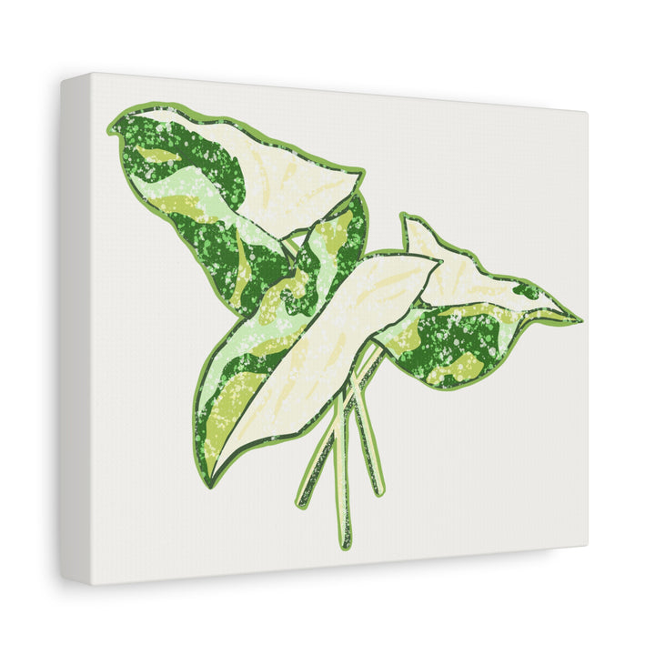 Marble Syngonium Canvas Botanical Wall Art Stretched Print On Durable Cotton Canvas Matte Finish