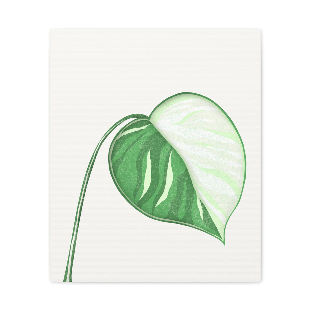 Monstera Albo Canvas Large Stretched Premium Quality Cotton Canvas Wall Art Tropical Leaf Poster Decor