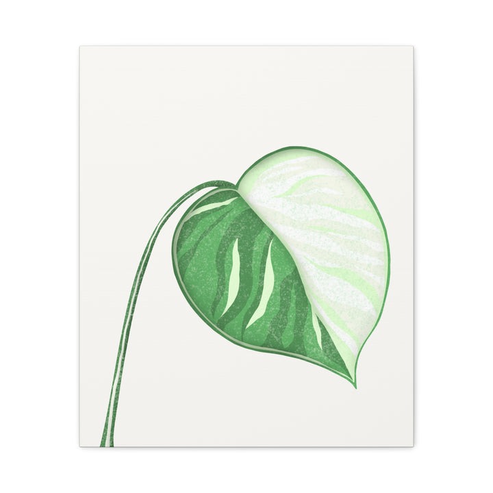 Monstera Albo Canvas Large Stretched Premium Quality Cotton Canvas Wall Art Tropical Leaf Poster Decor