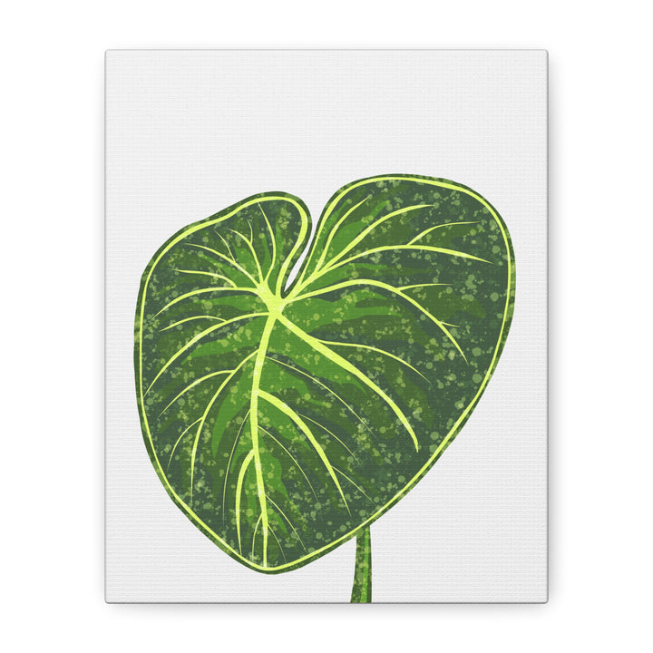 Philodendron Gloriosum Canvas Print Stretched Wall Art Botanical Leaf Print Matte Finish Gallery Wrapped Canvas