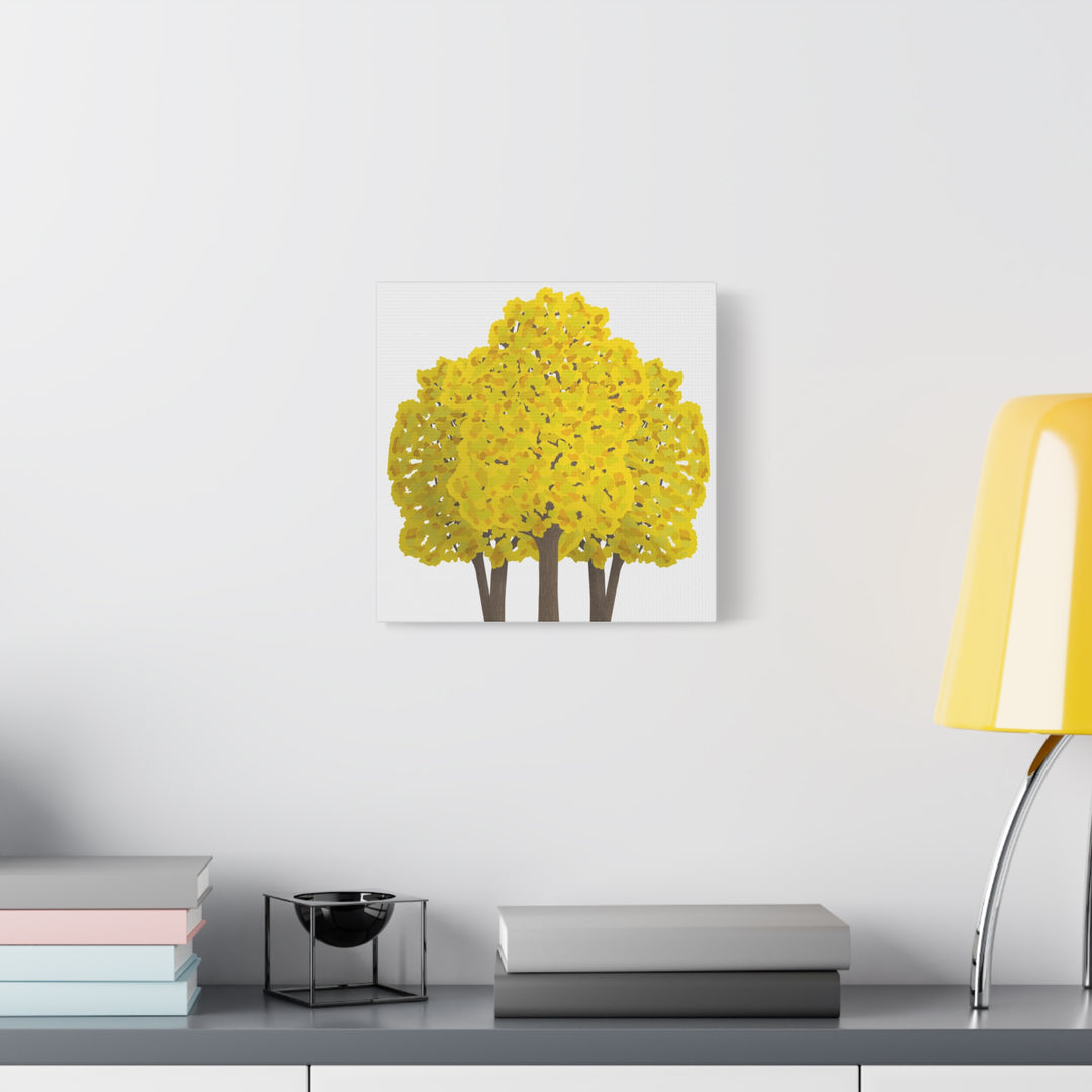 Big Leaf Maple Canvas Print – Wall Art