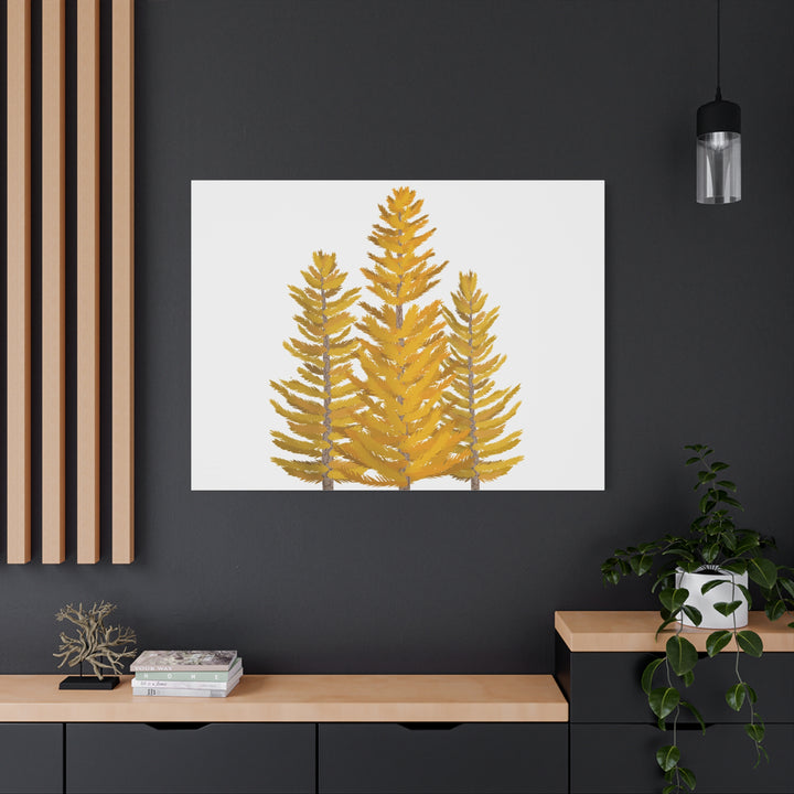 Western Larch Canvas Print – Wall Art