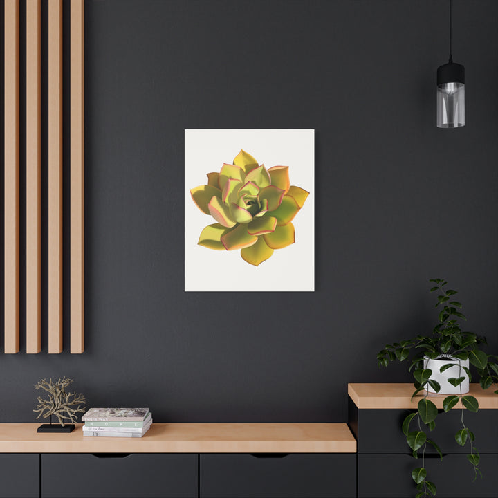 Noble Aeonium Succulent Canvas Wall Art Print for Modern Home Decor by The Potted Pixel
