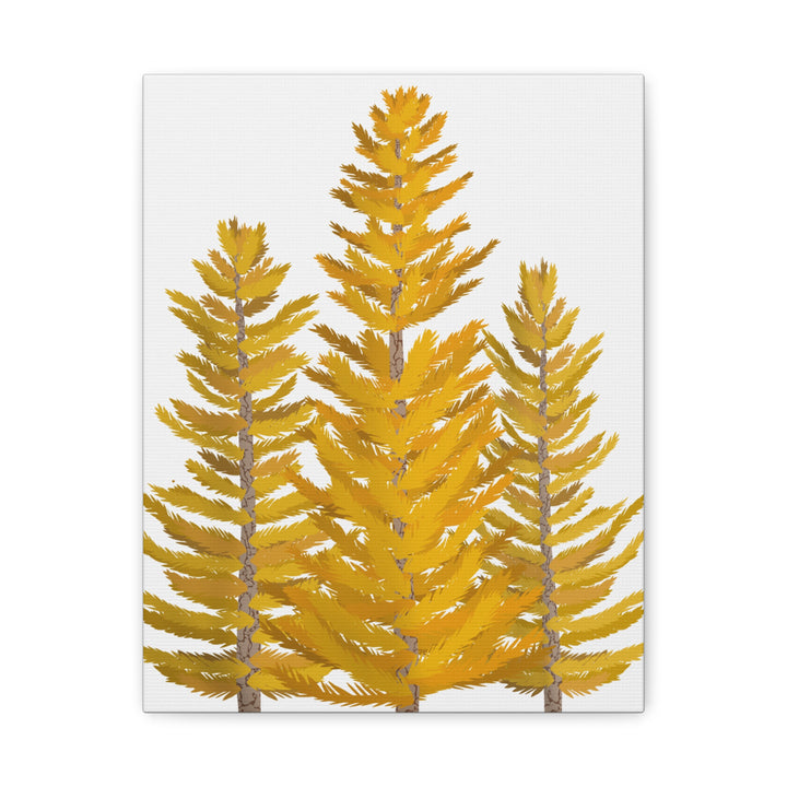 Western Larch Canvas Print – Wall Art