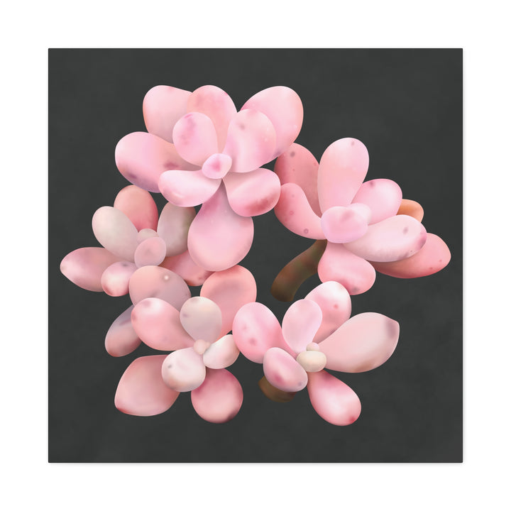 Pink Moonstone Canvas Print – Botanical Wall Art