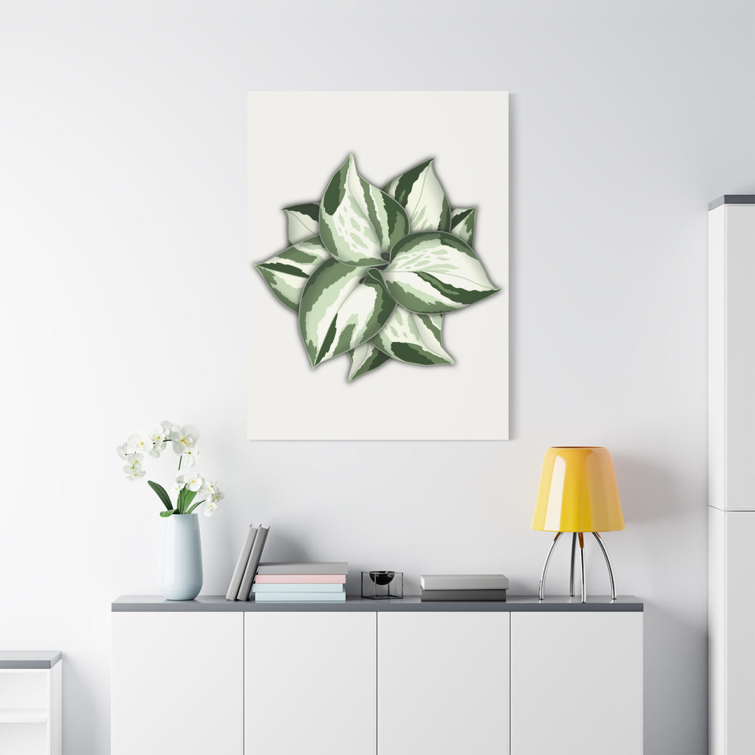 Manjula Pothos Canvas Print Stretched Matte Canvas Wall Art For Living Room And Office